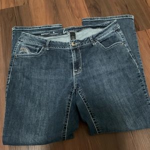 LANE BRYANT JEANS